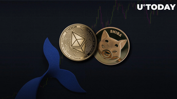 Top ETH Whales Now Hold Less Than $100 Million in SHIB, Despite Recent Price Surge
