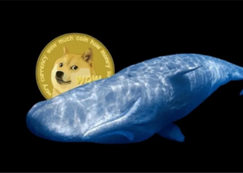 Dogecoin (DOGE) Price Manipulated By Whales? A Look Off And On-Chain
