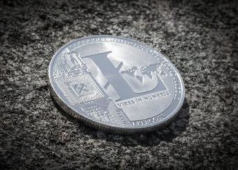 Litecoin Price Soars After DOGE Marks Historic Growth