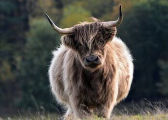 Litecoin (LTC) Leads Gains With Over 24% Increase In The Week