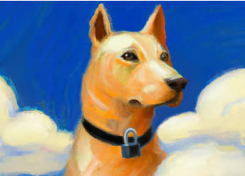 去中心化网络安全的兴起：趋势与机遇