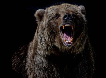 Bitcoin records fresh bear market low at $17,500, was this the bottom?