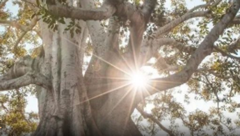 交易所挽回信任的 Merkle Tree 储备证明是什么？有什么用？有哪些漏洞？