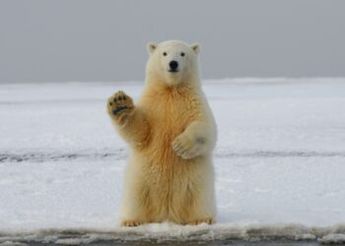 Why Bitcoin Drawdown May Still Not Be Painful Enough For Bottom