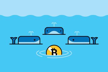 Barron's: FTX Sends Crypto Reeling. The Whales Move in to Profit