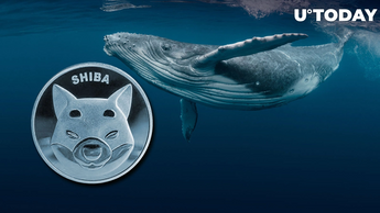 SHIB Trading Volume Up 102% As Whales Grab 323 Billion Coins in 24 Hours Facebook Twitter