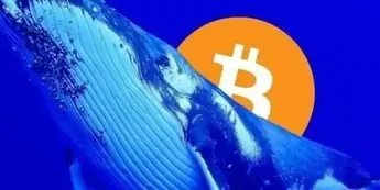 【重磅解读】29.8万枚BTC链上交易量，能支撑反弹吗
