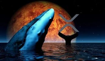 На этой неделе Whales XRP переместили миллионы токенов на биржи и неизвестные кошельки
