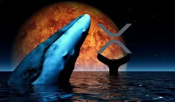 This Week XRP Whales Moved Millions of Tokens to Exchanges and Unknown Wallets