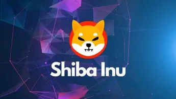 Shiba Inu Burn Rate Jumps 706% as Holder Number Soars High Overnight