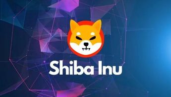 На 706% подскочило количество сожжённых токенов Shiba Inu, так как число владельцев за ночь резко возросло
