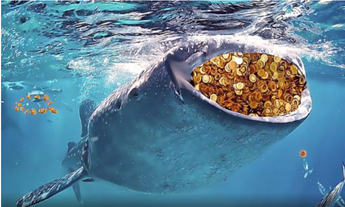 [Research]Uncertainty Amongst Whales and Old Hands