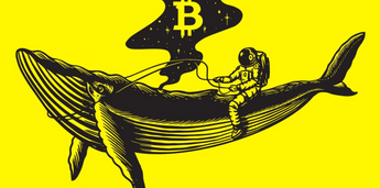 Reliable Indicators Show Crypto Market Is Hitting the Bottom