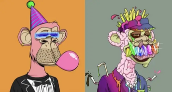 2022 年高价购得猴子和像素小人 NFT 的名人们，此刻正“血本无归”