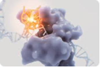 获得辉瑞投资的VitaDAO能否开启去中心化科学新叙事？