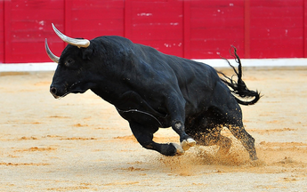 Bears Beware: Bitcoin To Enter “Bucking Bull” Phase
