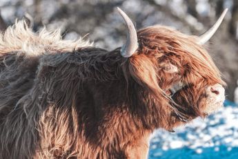 Why A Bitcoin Monthly Close Above $23,000 Hints At More Momentum For The Bulls