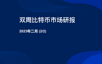 【研报精选】比特币二月市场研报（2/2）