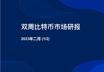 【研报精选】比特币二月市场研报（1/2）
