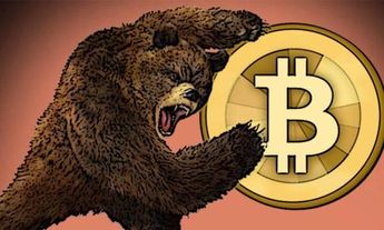 长推：熊市就是屯币