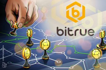 Copy trading enables crypto newbies to use advanced strategies: Here's how