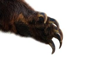 Bitcoin Finds Rejection At Historical Level: More Pain Ahead?