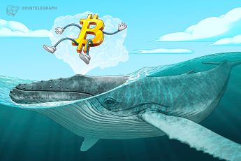 Who is ‘Mr. 100’? Mysterious Bitcoin whale becomes 14th biggest BTC holder