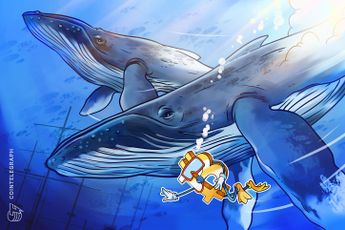 Bitcoin 'dumb money sells' as whales, sharks add 328K BTC in a month
