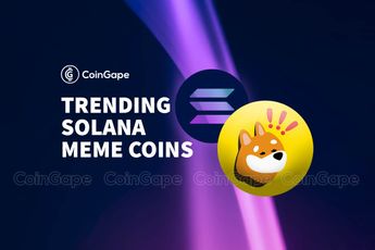 Solana Meme Coins: Whales Buying Millions of MEW & SLERF - coingape