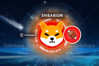 Shiba Inu Lead Unveils BONE Use Case In Layer 3 Blockchain - coingape
