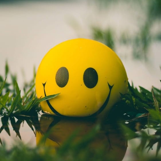 Picture of the author