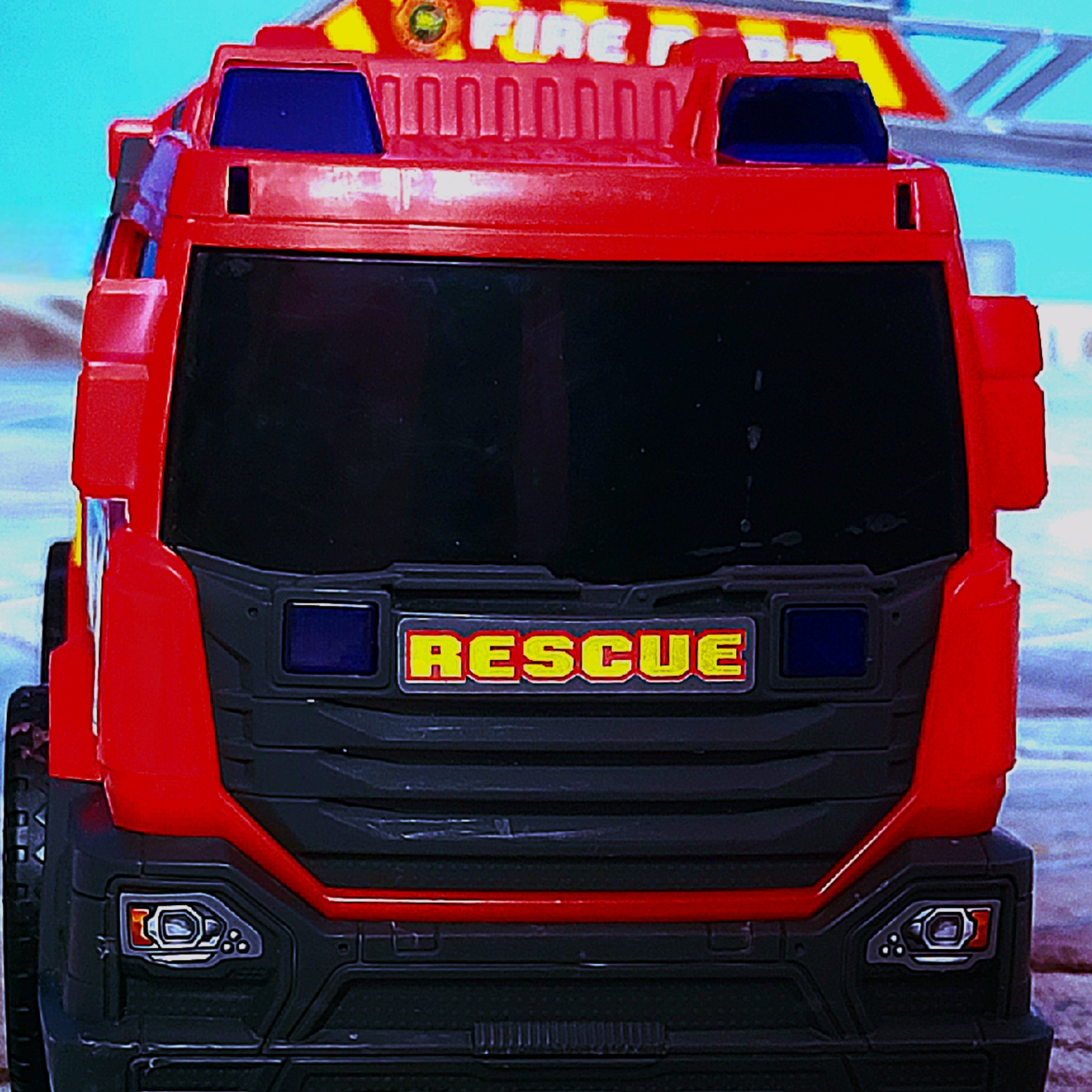 Picture of the author