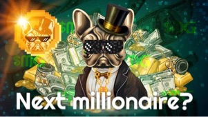 Please check the network&nbsp;connection&nbsp;status