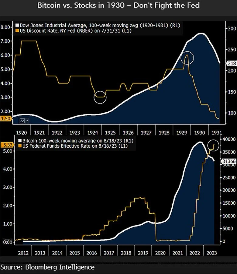 mcglone-tweet-bitcoin-stock-market.webp