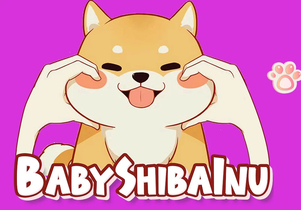 babyshibainu-feature-image.png