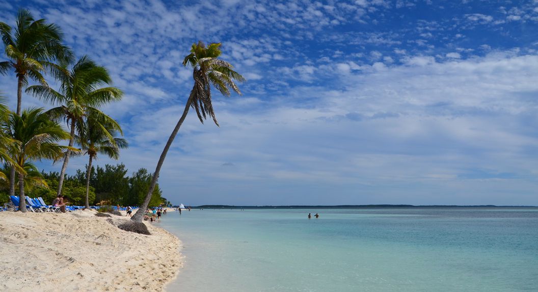 U.S. Seizes Drug Ring's $54M Crypto Stash as Prisoners Hatched Big Plans for Assets