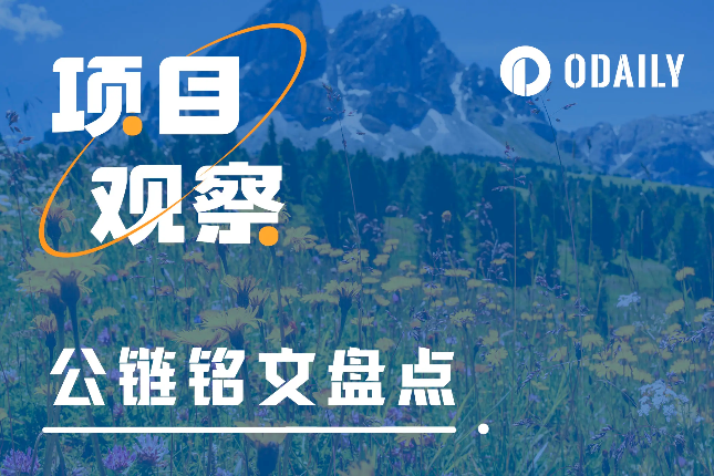 闲鱼，多链「铭文」的OTC商城