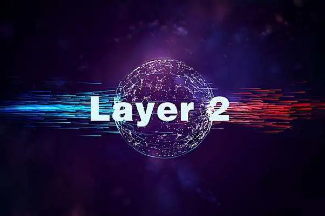 全方位数据对比：谁是L2赛道的明日之星？