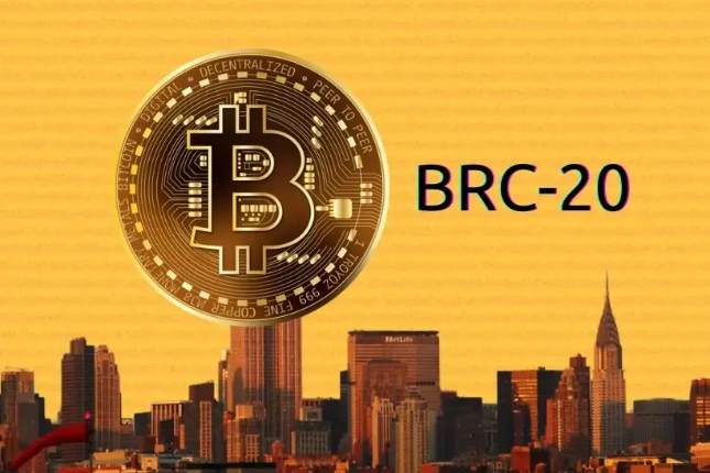 比特币BRC20：新手终极指南