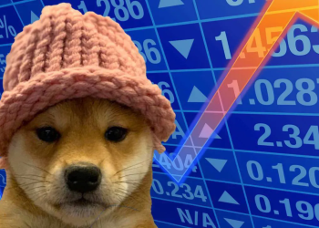 Dogwifhat is Latest Solana Meme Coin to Surge, is it the Next Bonk as Sponge V2 Also Gains Momentum