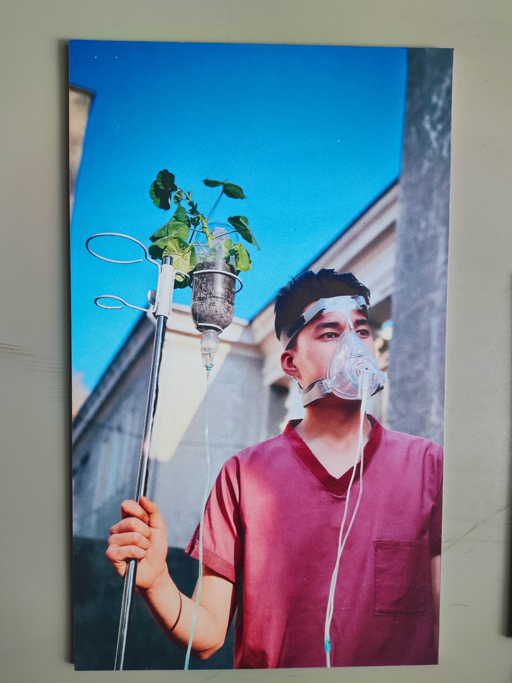 Picture of the author