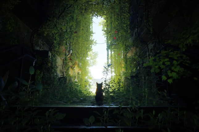 探索Cosmos生态：未发币的潜力协议一览