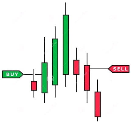 Picture of the author