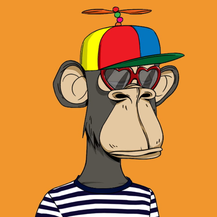 Picture of the author