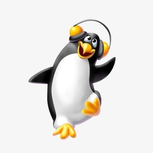 Picture of the author