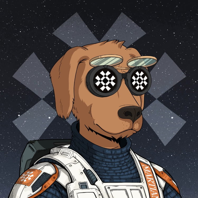 Picture of the author