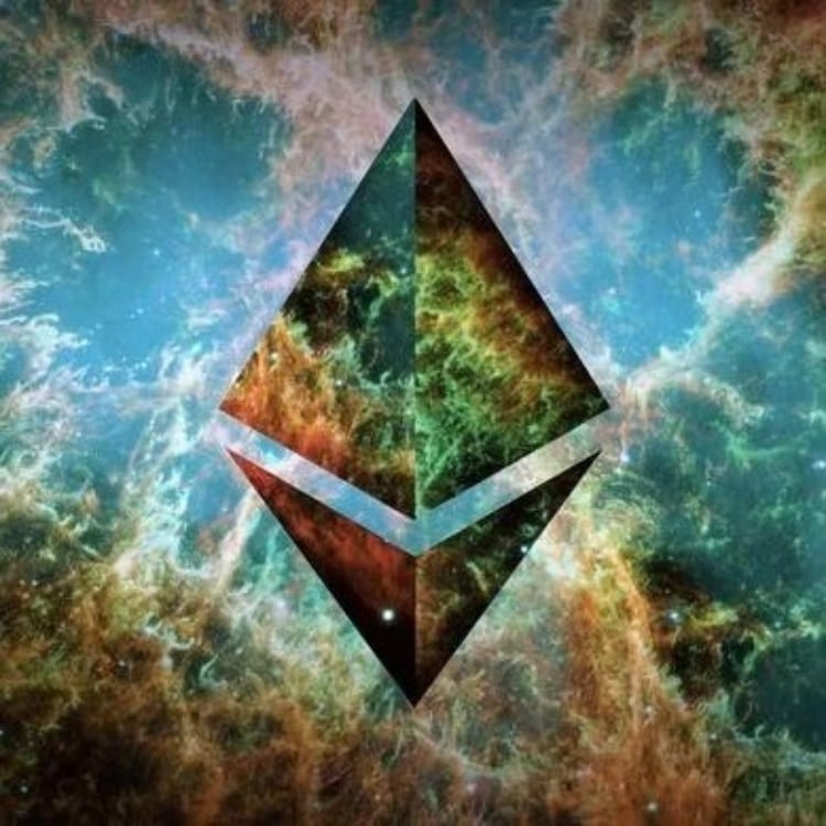 Picture of the author