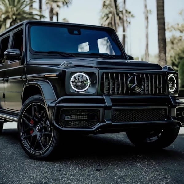 Picture of the author