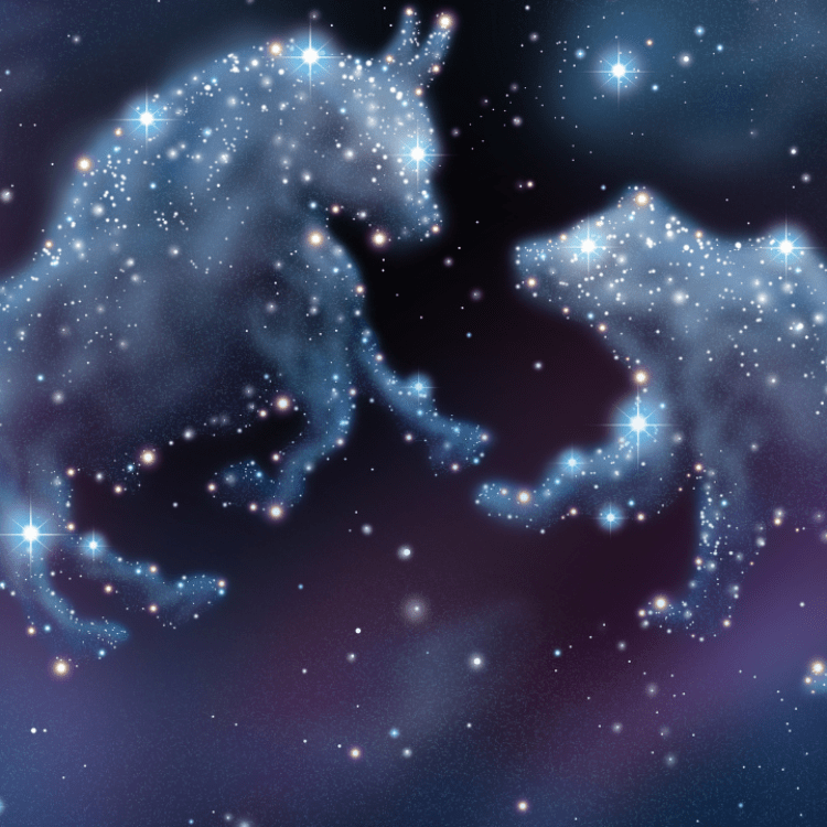 Picture of the author