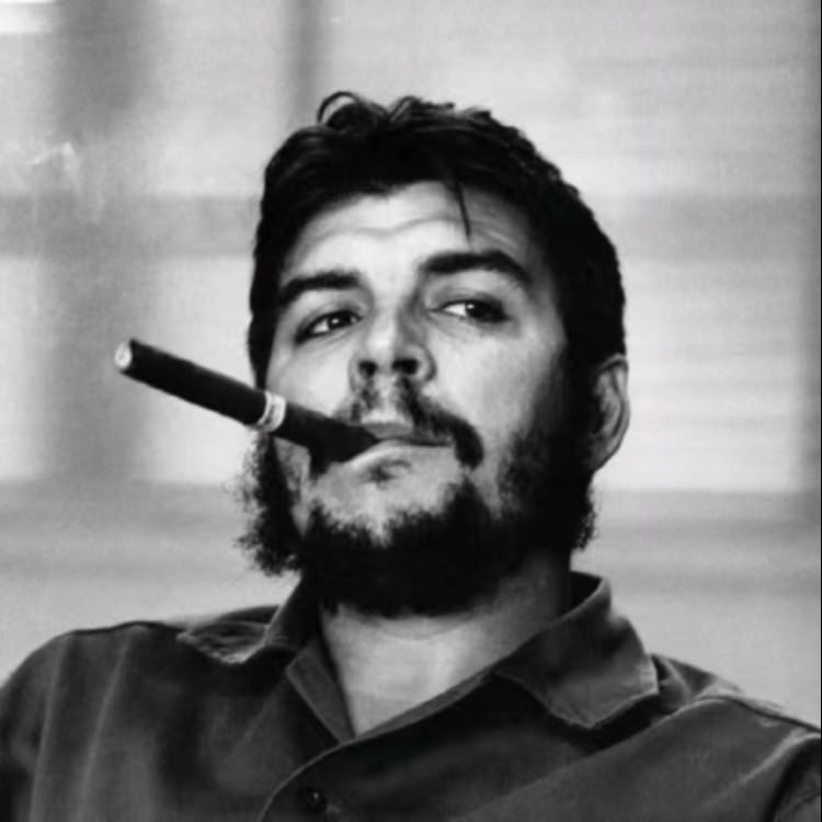 Picture of the author